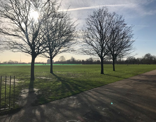 A Morning Jog&nbsp;(1-29)