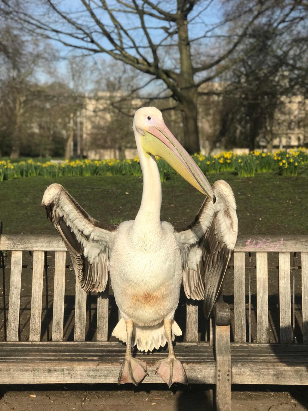 St. James Park&nbsp;(2-5)