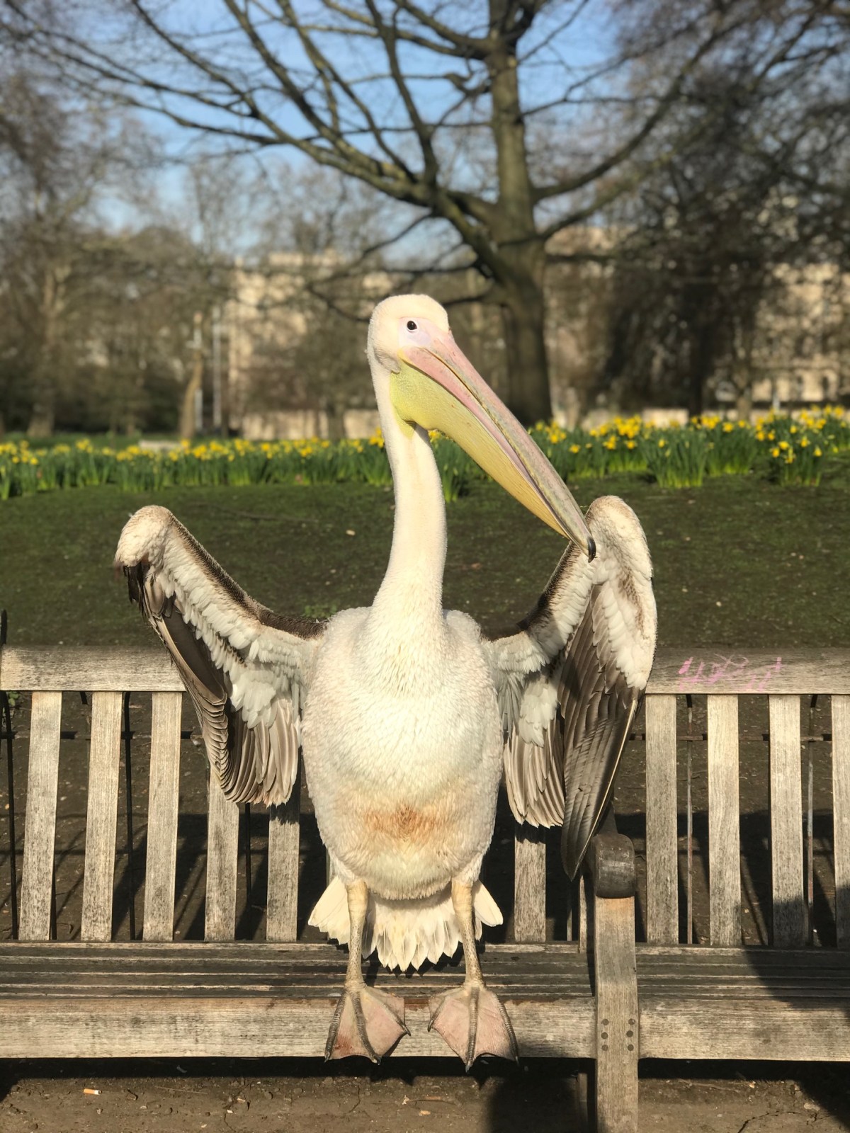 St. James Park&nbsp;(2-5)