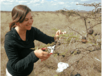 Wasps may provide climate change&nbsp;insights