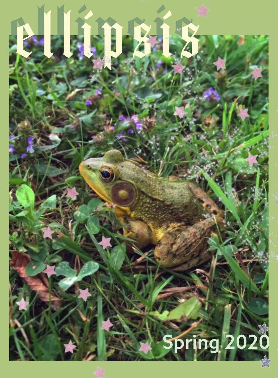 A frog sitting in the grass, with the title "ellipsis" and the words "Spring 2020" overlaid